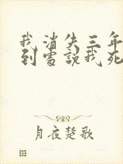 我消失三年校花到处说我死了