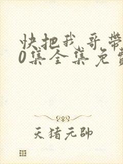 快把我哥带走30集全集免费观看封面