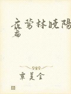 夜莺林晓阳番外篇封面