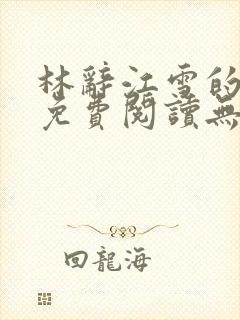 林辞江雪的小说免费阅读无弹窗
