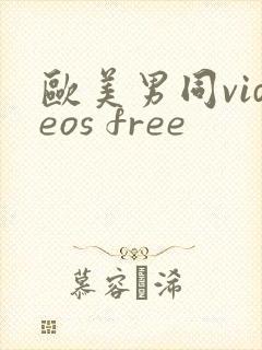 欧美男同videos free