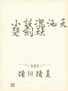 小说混沌天帝诀楚剑秋