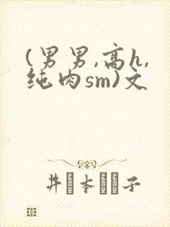 (男男,高h,纯肉sm)文