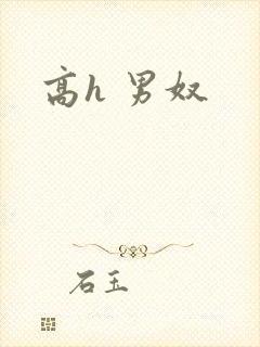 高h 男奴