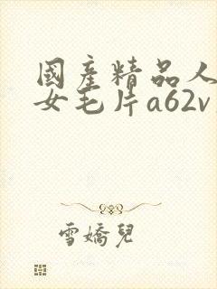 国产精品人妻熟女毛片a62v久久封面