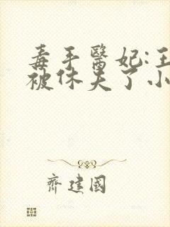 毒手医妃:王爷被休夫了小说