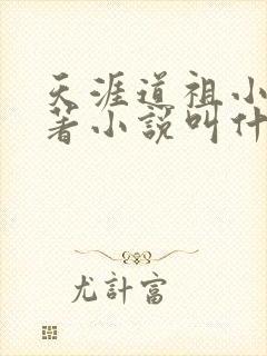 天涯道祖小说原著小说叫什么名字
