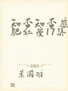 知否知否应是绿肥红瘦17集