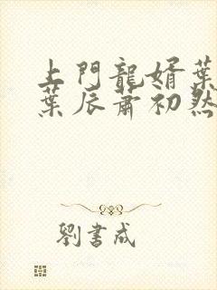 上门龙婿叶辰 叶辰萧初然最新封面