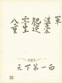 八零肥婆军嫂的重生逆袭