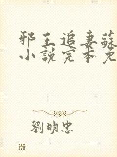 邪王追妻苏小暖小说完本免费阅读