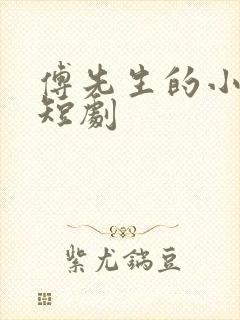 傅先生的小作精短剧