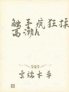 触手疯狂揉肉蒂高潮h