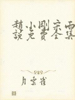 赵小刚宋雨晴小说免费全集封面