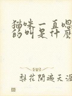 猫咪一直嗯嗯嗯的叫是什么意思
