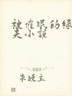 被催眠的绿帽夫夫小说封面