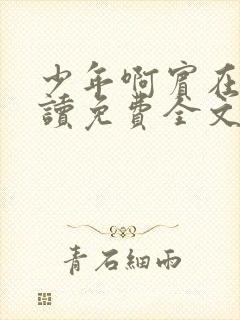 少年啊宾在线阅读免费全文小说