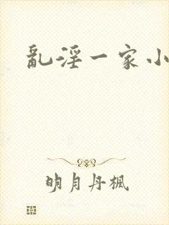 乱淫一家小说