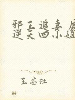 邪王追妻 废材逆天四小姐