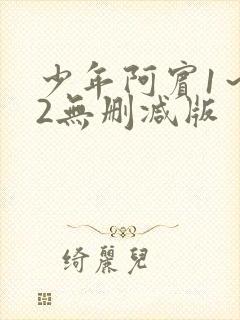 少年阿宾1～72无删减版封面