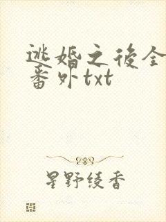 逃婚之后全文加番外txt封面
