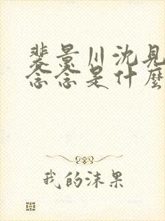 裴景川沈见欢许念念是什么小说封面
