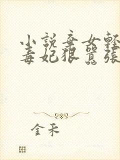 小说弃女轻狂:毒妃狠嚣张