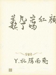 叶凡宋红颜在一起了吗封面