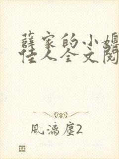薛家的小媳妇笑佳人全文阅读