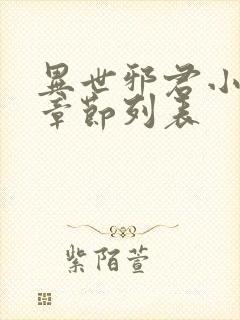 异世邪君小说新章节列表