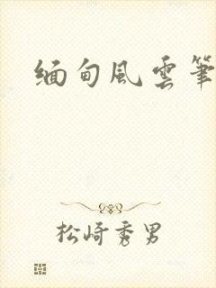 缅甸风云笔趣阁
