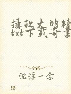 摄政大明精校版txt下载奇书封面