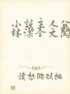 小说主人公秦齐林洁全文阅读