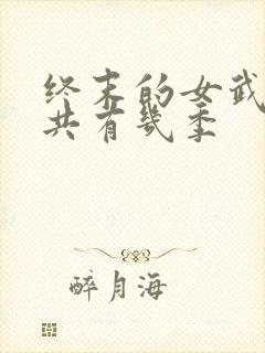终末的女武神一共有几季