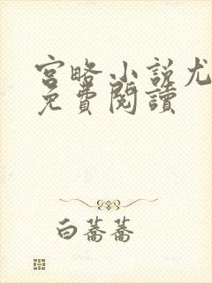 宫略小说尤四姐免费阅读