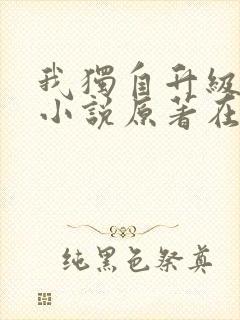 我独自升级诸神小说原著在线阅读
