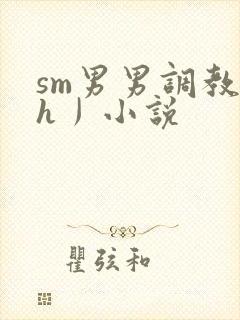sm男男调教〈h丿小说