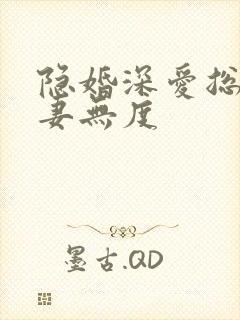 隐婚深爱总裁宠妻无度