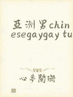 亚洲男chinesegaygay tube