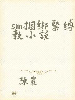 sm捆绑紧缚调教小说