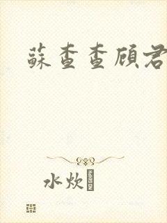 苏查查顾君亦封面