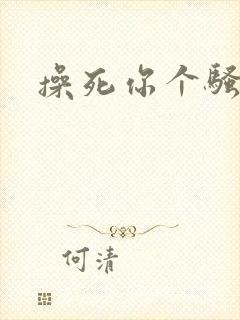 操死你个骚货h