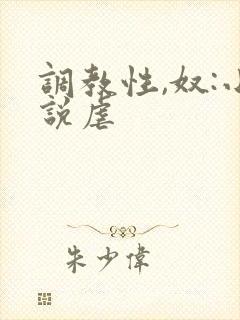 调教性,奴:小说虐