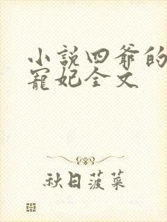 小说四爷的心尖宠妃全文