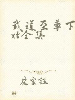 武道至尊下载txt全集