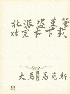 北派盗墓笔记txt完本下载