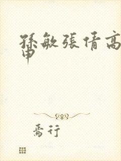 孙敏张倩高义王申