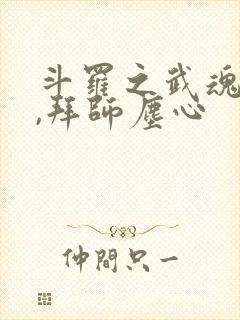 斗罗之武魂剑匣,拜师尘心封面