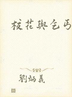 校花与乞丐小说封面