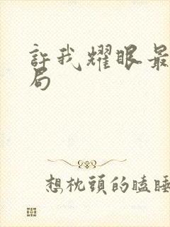 许我耀眼最后结局封面